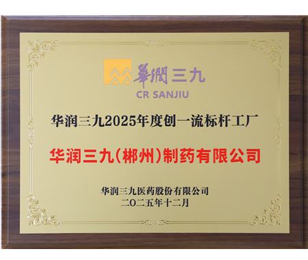 PA视讯官方网站 2025 年度创一流标杆工厂