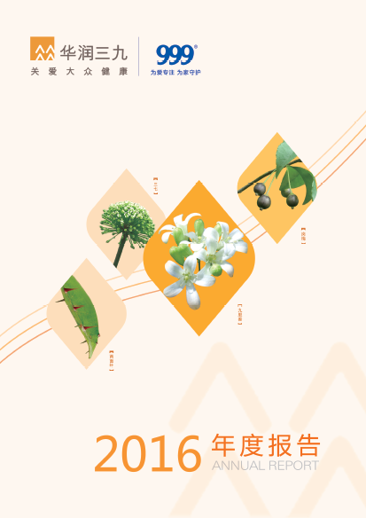 PA视讯官方网站：2016年年度报告