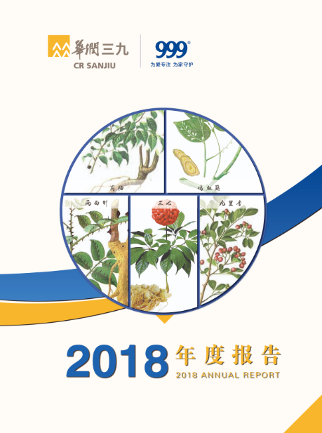 PA视讯官方网站：2018年年度报告