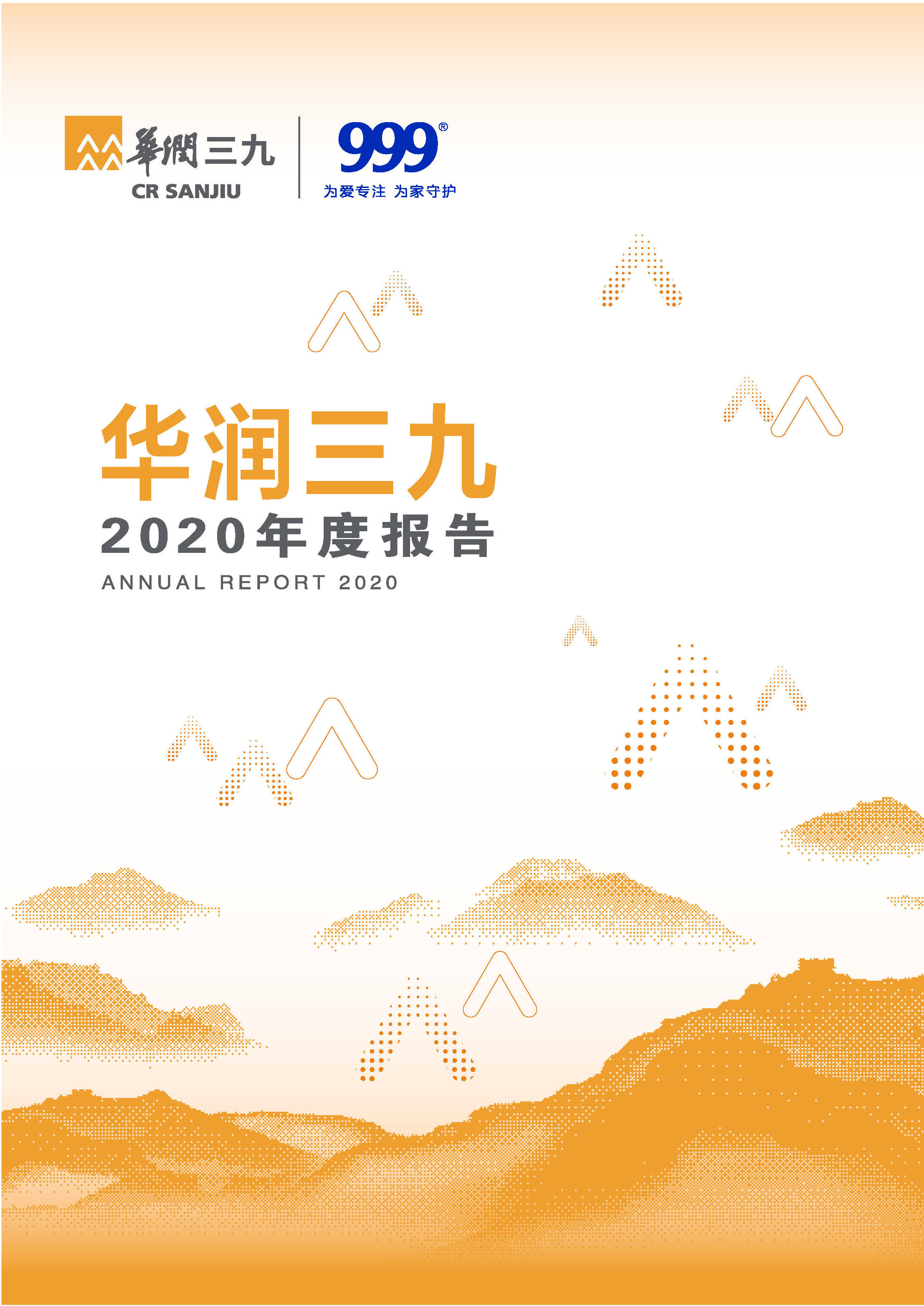 PA视讯官方网站：2020年年度报告