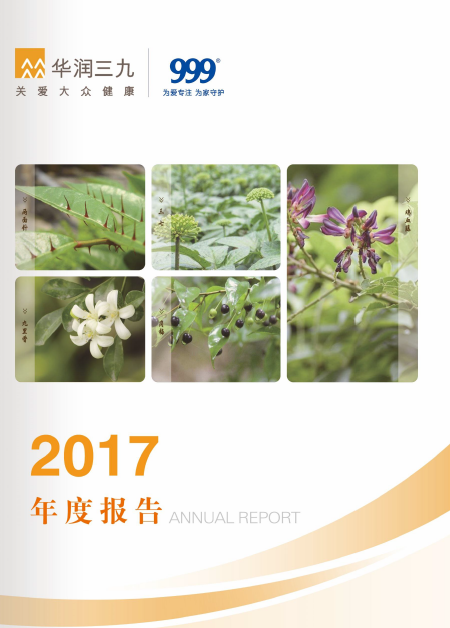 PA视讯官方网站：2017年年度报告
