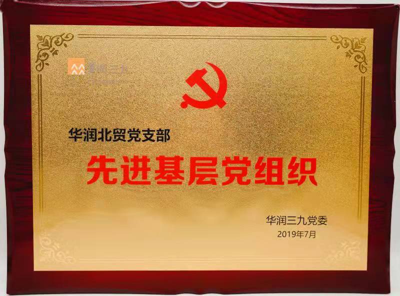 2019年PA视讯官方网站北贸党总支先进基层党组织